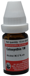 Dr Willmar Schwabe Germany Colocynthis Dilution 1M