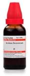 Dr Willmar Schwabe India Acidum Benzoicum Mother Tincture Q