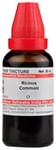 Dr Willmar Schwabe India Ricinus Communis Mother Tincture Q