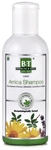 Boericke & Tafel Arnica Shampoo