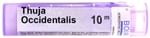 Boiron Thuja Occidentalis Multi Dose Approx 80 Pellets 10M CH