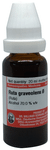 Dr Willmar Schwabe Germany Ruta Graveolens Mother Tincture Q