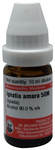 Dr Willmar Schwabe Germany Ignatia Amara Dilution 50M