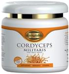 Cordy Gold Cordyceps Militaris Dry Fruit Body