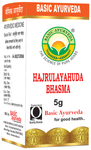 Basic Ayurveda Hajrulayahuda Bhasma