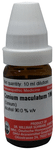 Dr Willmar Schwabe Germany Conium Maculatum Dilution 1M