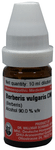 Dr Willmar Schwabe Germany Berberis Vulgaris (Berberis) Dilution CM