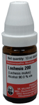 Dr Willmar Schwabe Germany Lachesis Mutus Dilution 200
