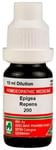 ADEL Epigea Repens Dilution 200