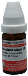 Dr Willmar Schwabe Germany Arsenicum Album (Acidum Arsenicosum) Dilution 1M