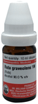 Dr Willmar Schwabe Germany Ruta Graveolens Dilution 1M
