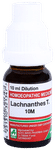 ADEL Lachnanthes T. Dilution 10M