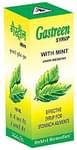 Dehlvi Remedies Gastreen Syrup with Mint