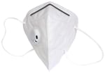Dominion Care KN95 Mask with Metal Nosepin White with Breathing Valve