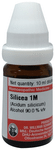 Dr Willmar Schwabe Germany Silicea Dilution 1M