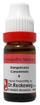 Dr. Reckeweg  Sanguinaria Canadensis Dilution 6 CH