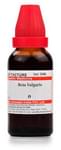 Dr Willmar Schwabe India Beta Vulgaris Mother Tincture Q
