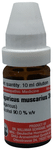 Dr Willmar Schwabe Germany Agaricus Muscarius Dilution 30