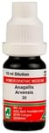 ADEL Anagallis Arv Dilution 30