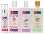 Dr Batra's Combo Pack of Hair Fall Control Serum 125ml, Hair Fall Control Shampoo 200ml, Hair Fall Control Oil 200ml and Conditioner 200ml