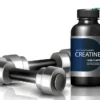 take creatine benefits even without workout