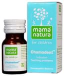 Dr Willmar Schwabe India Chamodent Tablet