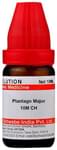 Dr Willmar Schwabe India Plantago Major Dilution 10M CH