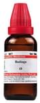 Dr Willmar Schwabe India Badiaga Mother Tincture Q
