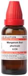 Dr Willmar Schwabe India Manganum Sulphuricum Dilution 6 CH