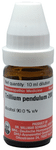 Dr Willmar Schwabe Germany Trillium Pendulum Dilution 200