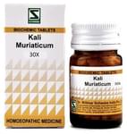 Dr Willmar Schwabe India Kali Muriaticum Biochemic Tablet 30X
