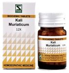 Dr Willmar Schwabe India Kali Muriaticum Biochemic Tablet 12X