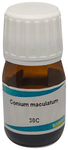 Boiron Conium Maculatum Dilution 30C
