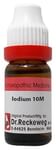 Dr. Reckeweg Iodium Dilution 10M CH