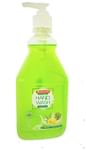 Baidyanath (Jhansi) Hand Wash Hydrating