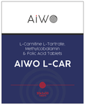 AIWO L-Car Tablet