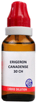 Bjain Erigeron Canadense Dilution 30 CH