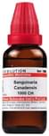Dr Willmar Schwabe India Sanguinaria Canadensis Dilution 1000 CH