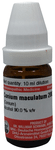 Dr Willmar Schwabe Germany Conium Maculatum Dilution 200