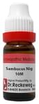 Dr. Reckeweg Sambucus Nig Dilution 10M CH