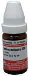 Dr Willmar Schwabe Germany Ledum Palustre Dilution 200