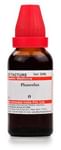 Dr Willmar Schwabe India Phaseolus Vulgaris Mother Tincture Q