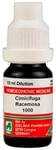 ADEL Cimicifuga Racemosa Dilution 1M