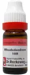 Dr. Reckeweg Rhododendron Dilution 10M CH