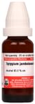 Dr Willmar Schwabe Germany Syzygium Jambolanum Mother Tincture Q