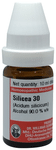 Dr Willmar Schwabe Germany Silicea Dilution 30