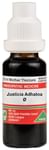 ADEL Justicia Adh. Mother Tincture Q