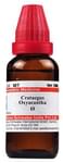 Dr Willmar Schwabe India Crataegus Oxyacantha Mother Tincture Q