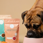Dog enjoying food from bowl