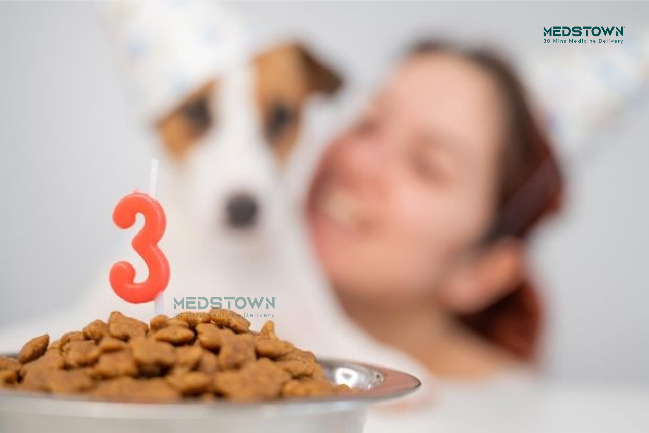 Dog birthday celebration with treats.